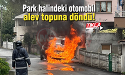 Park halindeki otomobil alev topuna döndü!