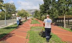 Serdivan'da yollar temiz ve bakımlı