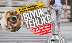 Beyaz bastonu şiddet olarak algılıyorlar!