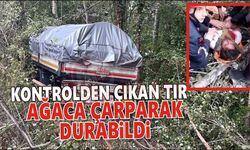 Kontrolden çıkan tır ağaca çarparak durabildi