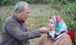 Eşinin rahatsızlığı için ektiği meyvenin taleplerine yetişemiyor