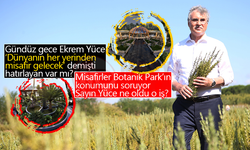 Sakarya Botanik Park projesi hayaldi yalan oldu!