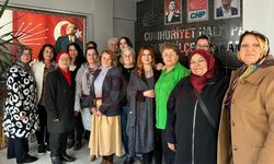 CHP’den  ‘Aile içi ilişkilerde eşitlik ve haklar’ semineri