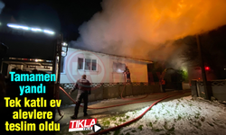 Tek katlı ev alevlere teslim oldu