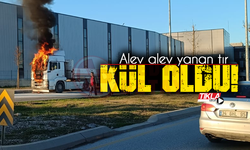 Alev alev yanan tır kül oldu!