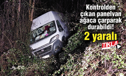 Kontrolden çıkan panelvan ağaca çarparak durabildi