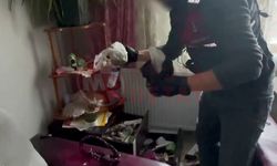 Sakarya'da narkotik köpeği destekli uyuşturucu operasyonu
