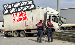 Yön tabelasına ok gibi saplandı!