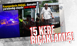 Kayınpederini öldürmüştü: 15 kere bıçaklamış!