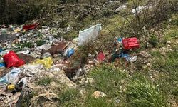 Sakarya'nın gözde yaylasında utandıran manzara!