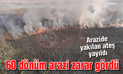 60 dönüm arazi yandı!