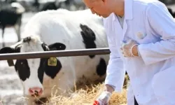 Tarımsal girdi Mart'ta yükseldi!
