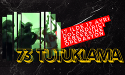 17 ilde 17 ayrı dolandırıcılık şebekesine operasyon!