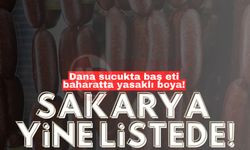 Dana sucukta baş eti baharatta yasaklı boya!