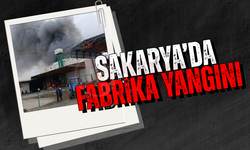 Sakarya'da fabrika yangını!