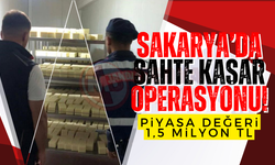 Sakarya’da sahte kaşar operasyonu!