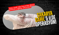 Satışı yasak olan hayvanları ülkeye sokup satıyorlardı!