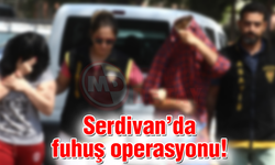 Serdivan'da fuhuş operasyonu!