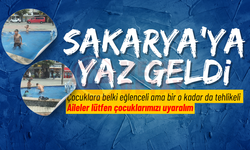 Sıcaktan bunalan çocuklar süs havuzuna girdi!