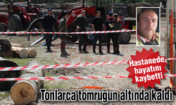 Tonlarca tomruğun altında kalan şahıs hayatını kaybetti