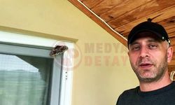 Van Gogh'un ilham kaynağıydı