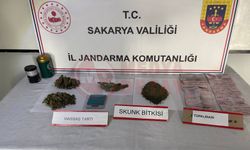 İki ilçede uyuşturucu operasyonu