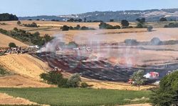 Sakarya’da 200 saman balyası yandı