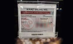 Fiyatı dudak uçuklattı!