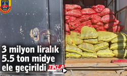3 milyon liralık 5.5 ton midye ele geçirildi