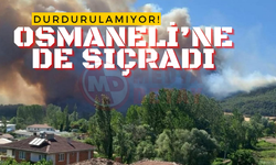 Durdurulamıyor: Osmaneli'ne de sıçradı!
