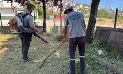 Serdivan Belediyesi’nden yeşil alanlara bakım