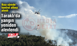 Taraklı'da yangın yeniden alevlendi