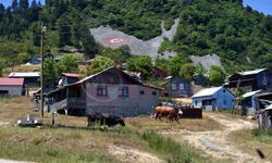 Sıcak hava yaylaya göç başlattı
