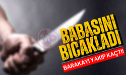 Babasını bıçakladı: Barakayı yakıp kaçtı!