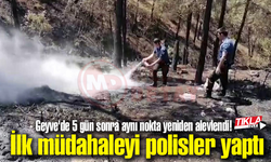 Geyve'de 5 gün sonra aynı nokta yeniden alevlendi!