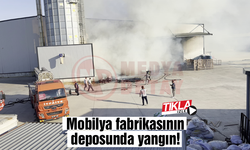 Mobilya fabrikasının deposunda yangın!