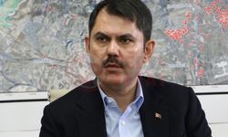 Yangın bölgelerinde çalışma 1 içinde başlayacak