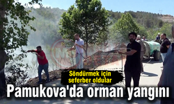 Pamukova'da orman yangını