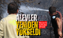 Sakarya-Bilecik sınırında alevler yeniden yükseldi!