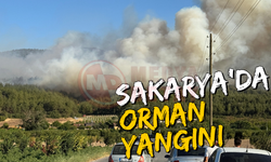 Sakarya'da tedirgin eden orman yangını!