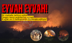 Eyvah eyvah: Sakarya'daki yangın büyüyor!