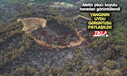 Yangının uydu görüntüsü paylaşıldı!