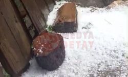 Taşkent’e dolu yağdı