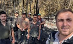 Yanan ormanlık alanlarda hummalı çalışma