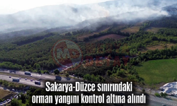 Sakarya-Düzce sınırındaki orman yangını kontrol altına alındı