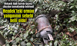 Hendek’teki orman yangınının sebebi belli oldu!