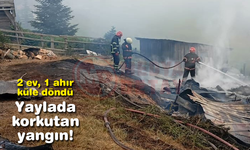 Yaylada korkutan yangın! 2 ev  1 ahır küle döndü