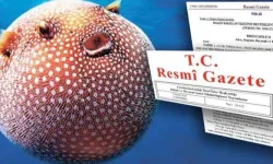 Balon balığı avcılığına yeni destek