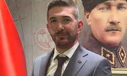 "Ağaçları kesmeye kim, hangi yetkiyle karar verdi?"
