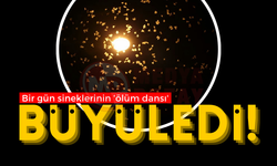 Bir gün sineklerinin ‘ölüm dansı' büyüledi